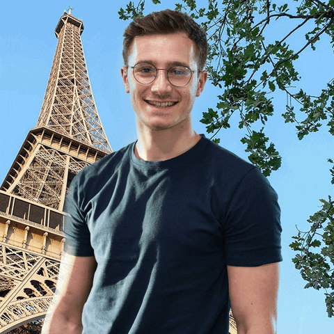 France Wtf Gif By Adsomegif