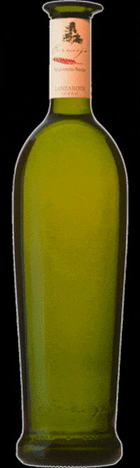 Bodega Los Bermejos GIF