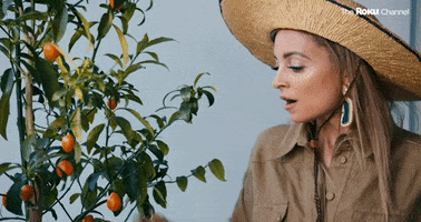 Nicole Richie Omg GIF by The Roku Channel