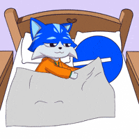 Good Night Cat GIF by Toshithecat