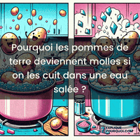 expliquepourquoi-porosit-pommes-de-terre-eau-sale-cuisson-diffusion-saline-zzCEv4KYkDt6YnRpju