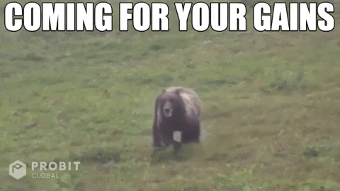 Grizzly Bear GIF by ProBit Global thumbnail